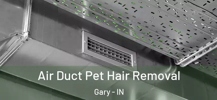  Air Duct Pet Hair Removal Gary - IN