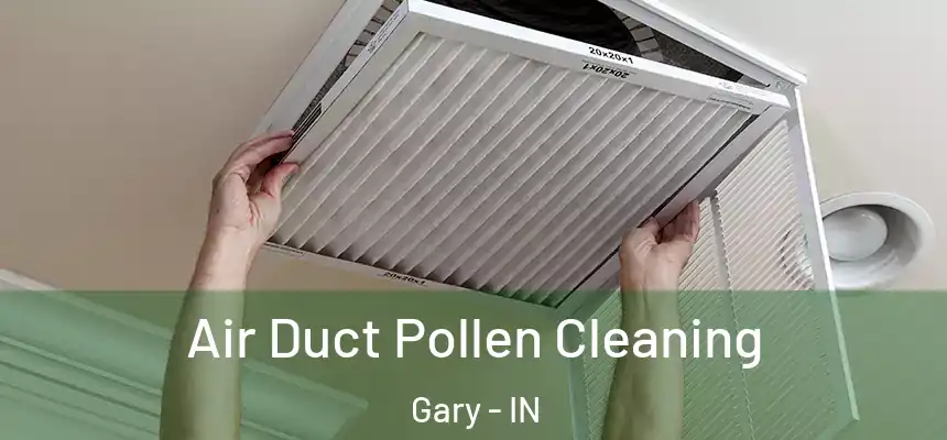  Air Duct Pollen Cleaning Gary - IN