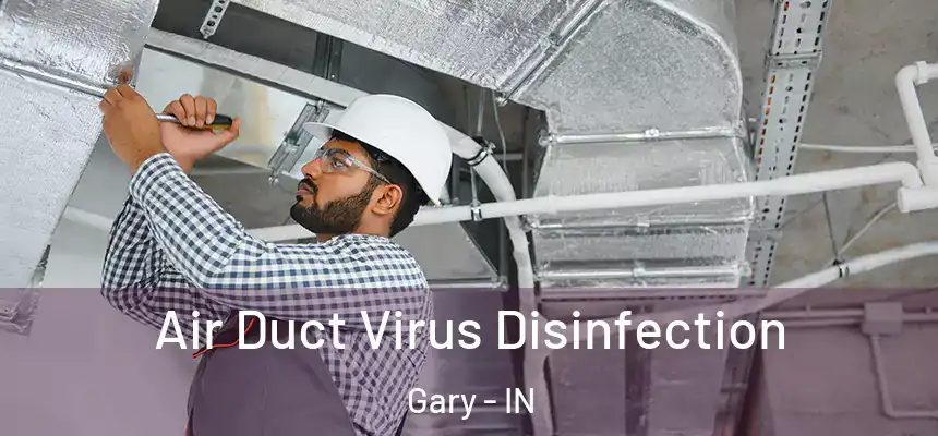  Air Duct Virus Disinfection Gary - IN