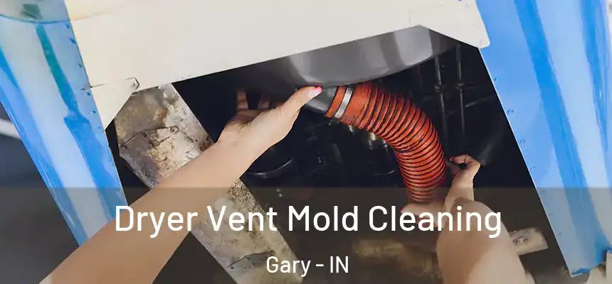  Dryer Vent Mold Cleaning Gary - IN