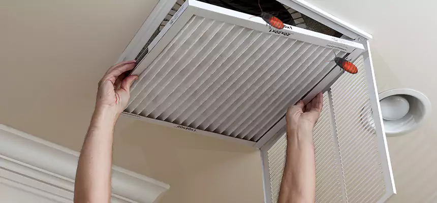 Preventive Cockroach-Proofing for Ducts in Gary