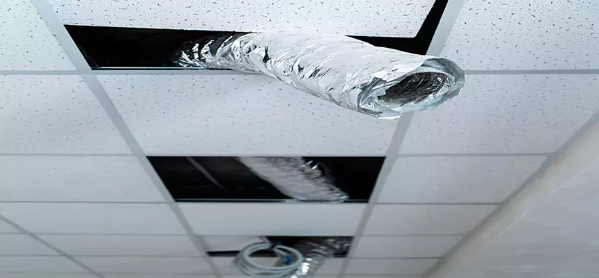 Affordable HVAC Sanitizing After Pest Removal in Gary