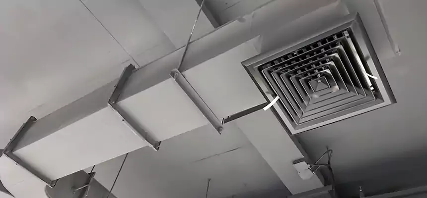 Restorative Allergy Relief Vent Cleaning – Coil, Blower & Housing Detail in Gary