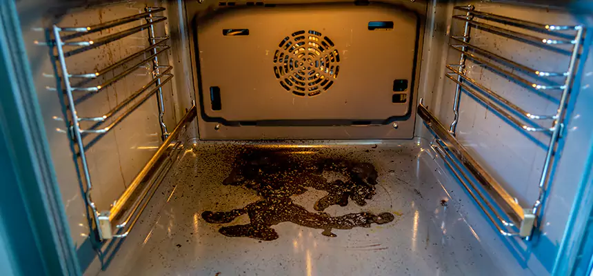 Our Dryer Vent Mold Cleaning Services in Gary, IN