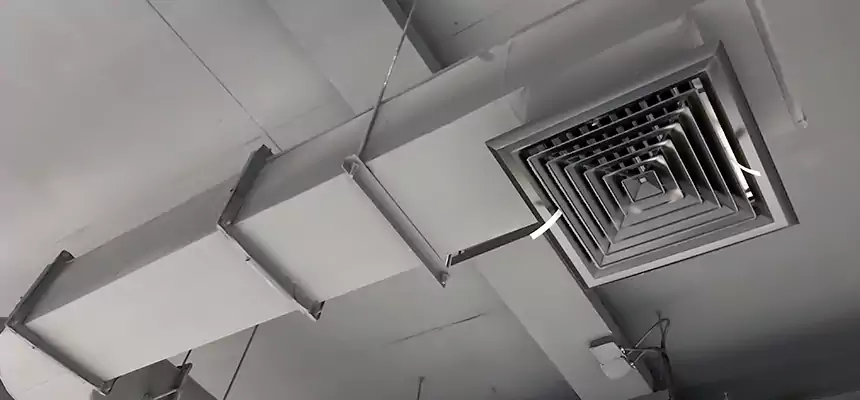 Our Pest Removal From Ducts Services in Gary, IN