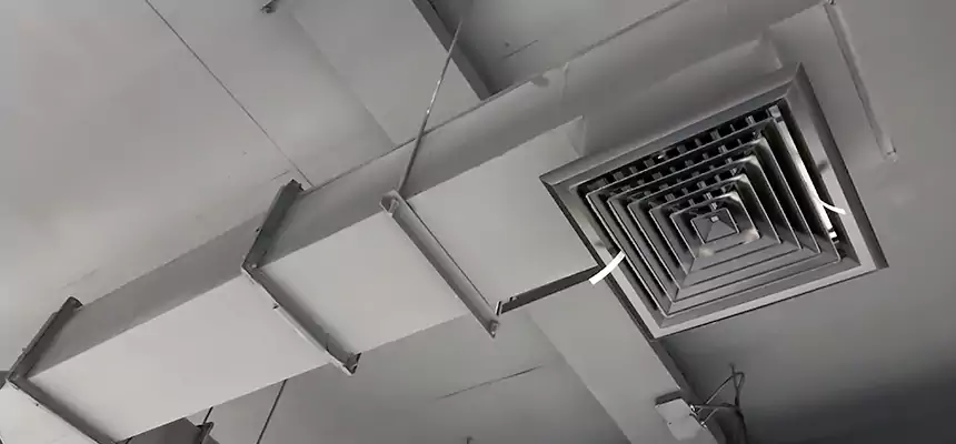 Our Rodent Droppings In Vents Services in Gary, IN