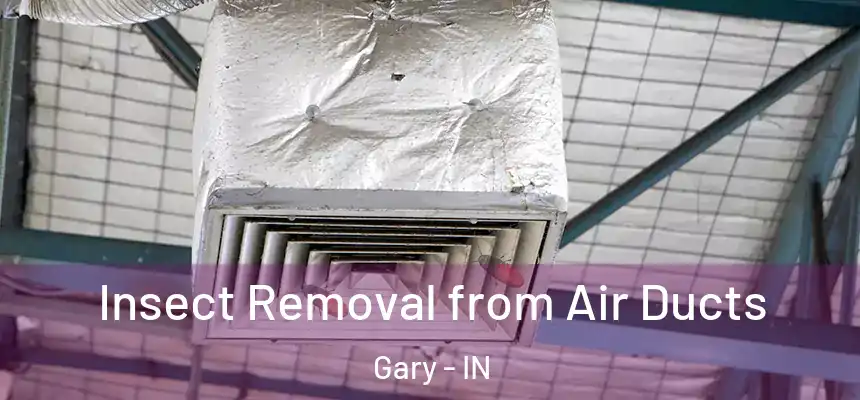  Insect Removal from Air Ducts Gary - IN