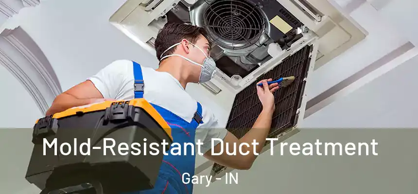  Mold-Resistant Duct Treatment Gary - IN