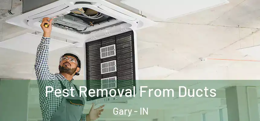 Pest Removal From Ducts Gary - IN