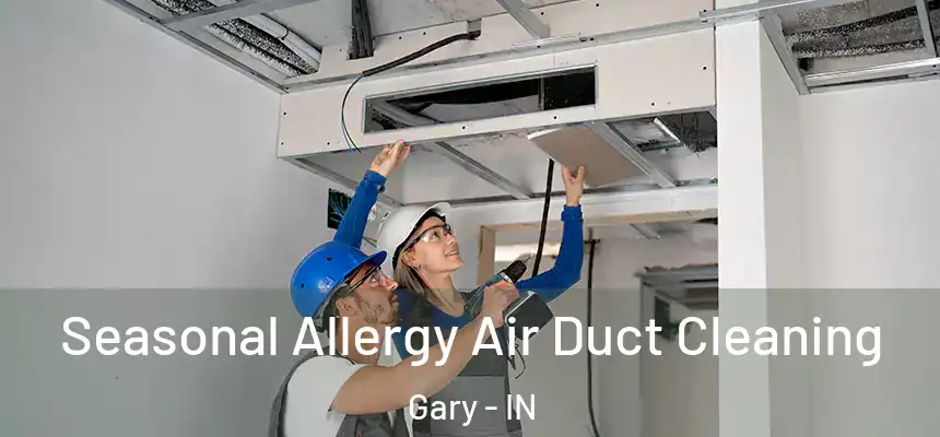  Seasonal Allergy Air Duct Cleaning Gary - IN