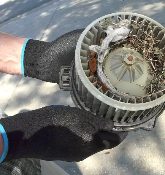 About Air Duct Rat Removal in Gary, IN