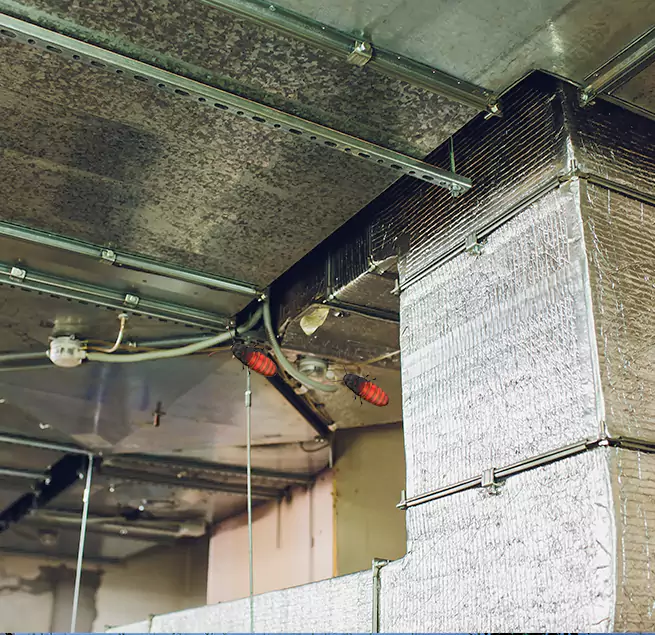 Why Homeowners & Businesses Trust Us in Gary, IN?