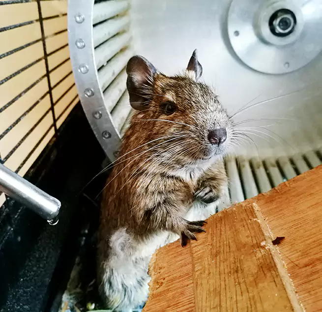 Why Homeowners & Businesses Trust Us Gary, IN