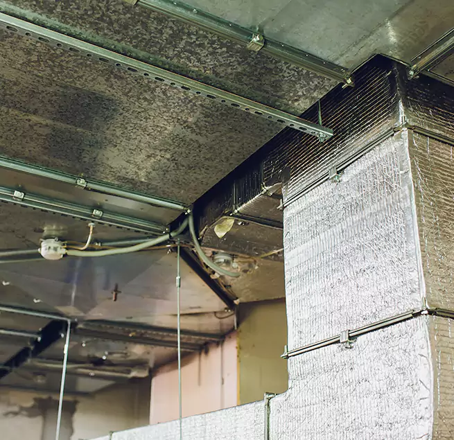 Why Homeowners & Businesses Trust Us in Gary, IN?